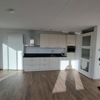 Vianen (UT), Zomerdijk, 3-kamer appartement - foto 4