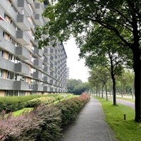 Rijswijk (ZH), Thomas Jeffersonlaan, 2-kamer appartement - foto 6