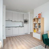 Zeist, Steynlaan, portiekflat - foto 4