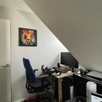 Apeldoorn, Langeweg, 2-kamer appartement - foto 6