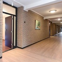 Eindhoven, Herman Gorterlaan, 2-kamer appartement - foto 6