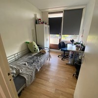 Arnhem, Hanzestraat, studentenkamer - foto 4