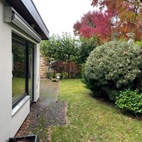 Almelo, Bosbeek, bungalow - foto 4