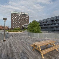 Groningen, Het Hout, 4-kamer appartement - foto 4