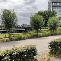 Utrecht, Hermelijnvlinderdijk, 3-kamer appartement - foto 5