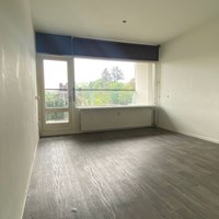 Apeldoorn, Robijnstraat, zelfstandige studio - foto 5