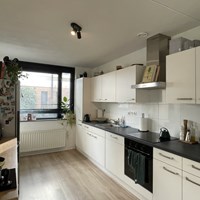 Amersfoort, Hugo de Vries Serre, tussenwoning - foto 4