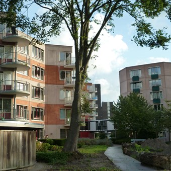 Alkmaar, Terborchhof, 2-kamer appartement - foto 3