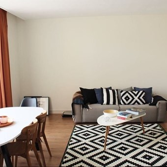 Den Haag, RIJKLOF VAN GOENSSTRAAT, 3-kamer appartement - foto 2