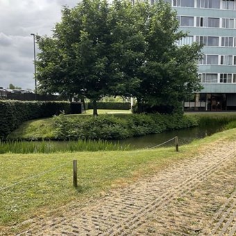 Utrecht, Hermelijnvlinderdijk, 3-kamer appartement - foto 2