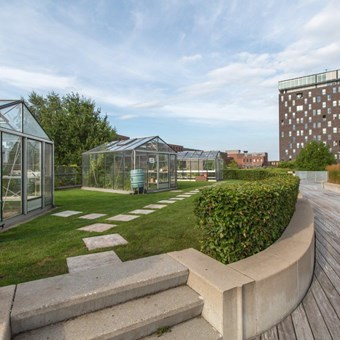 Groningen, Het Hout, 4-kamer appartement - foto 3