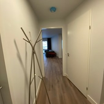 Eindhoven, Hoogstraat, 2-kamer appartement - foto 3