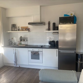 Arnhem, Sonsbeeksingel, 2-kamer appartement - foto 3