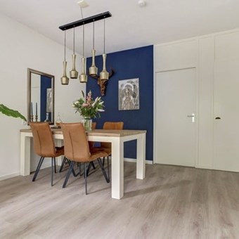 Nieuwegein, Wenckebachplantsoen, 2-kamer appartement - foto 3