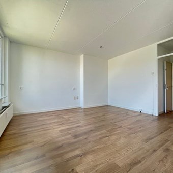 Breda, Teteringsedijk, zelfstandige studio - foto 3