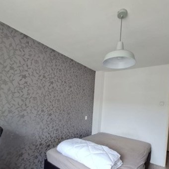 Oss, Staringstraat, kamer - foto 3