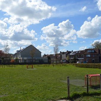 Lelystad, Galjoen, eengezinswoning - foto 3