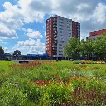 Heerenveen, Trambaan, 3-kamer appartement - foto 2