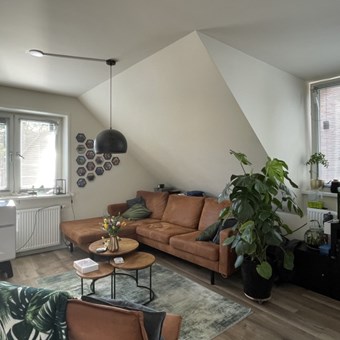 Apeldoorn, Langeweg, 2-kamer appartement - foto 3