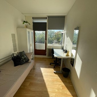 Arnhem, Hanzestraat, studentenkamer - foto 2