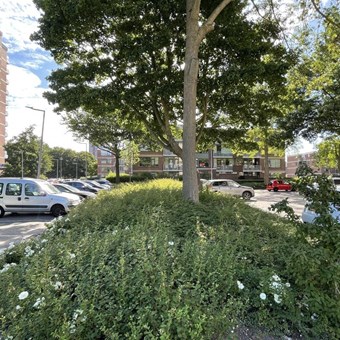 Rotterdam, Ravenswaard, bovenwoning - foto 3