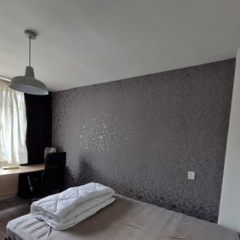 Oss, Staringstraat, kamer - foto 2