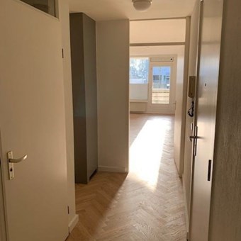 Eindhoven, Paradijslaan, 3-kamer appartement - foto 3