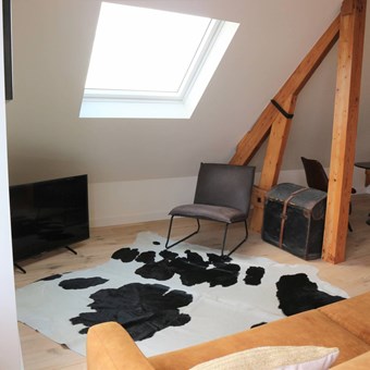 Schiedam, Tuinlaan, 2-kamer appartement - foto 3