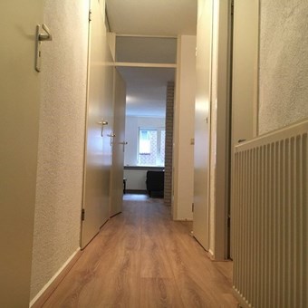 Hoofddorp, Tuinweg, 3-kamer appartement - foto 3