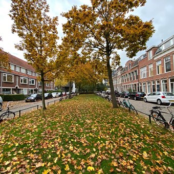 Groningen, Abel Tasmanplein, kamer - foto 2