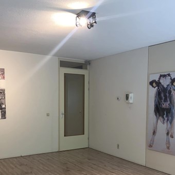 Rotterdam, Oppert, galerijflat - foto 2