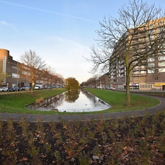 Rotterdam, Narcissenstraat, zelfstandige studio - foto 2