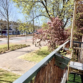 Amsterdam, Sonneveld, 2-kamer appartement - foto 2