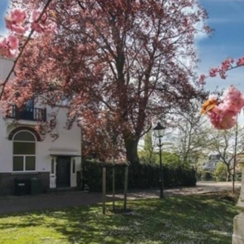 Rotterdam, Slotlaan, 3-kamer appartement - foto 1