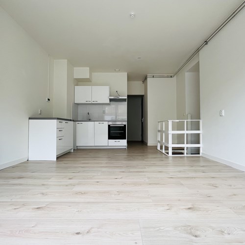 Schiedam, Boerhaavelaan, 4-kamer appartement - foto 1