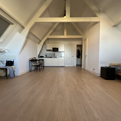 Den Haag, Suze Robertsonstraat, 2-kamer appartement - foto 1