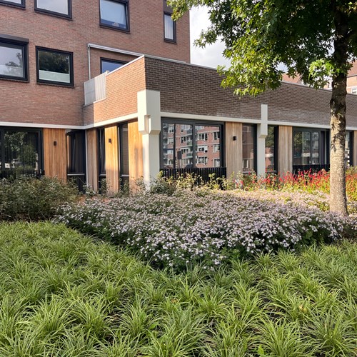 Emmen, Van Schaikweg, benedenwoning - foto 1