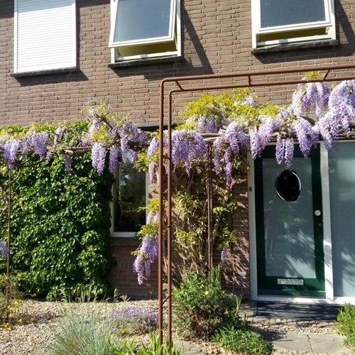 Leuth, Steenheuvelsestraat, bovenwoning - foto 1