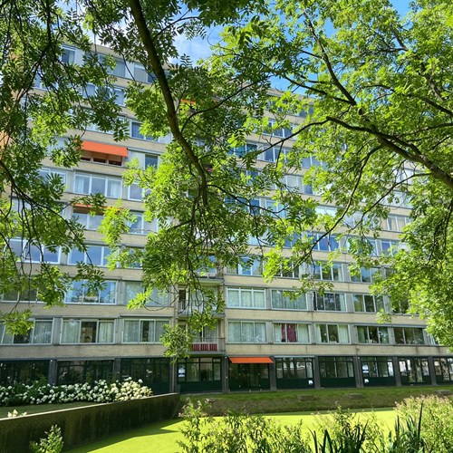 Leiden, Bachstraat, 3-kamer appartement - foto 1