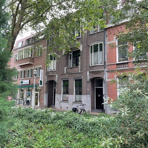 Tilburg, Wilhelminapark, 3-kamer appartement - foto 1