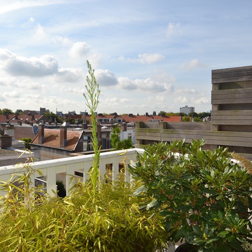 Den Haag, FREDERIK HENDRIKLAAN, 2-kamer appartement - foto 1